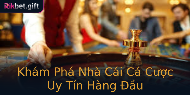 Khám Phá Nhà Cái Cá Cược Uy Tín Hàng Đầu