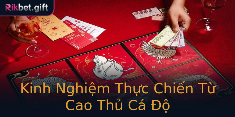 Kinh Nghiệm Thực Chiến Từ Cao Thủ Cá Độ